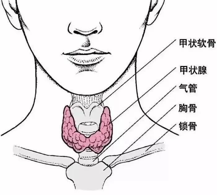 微信图片_20211206101840.jpg