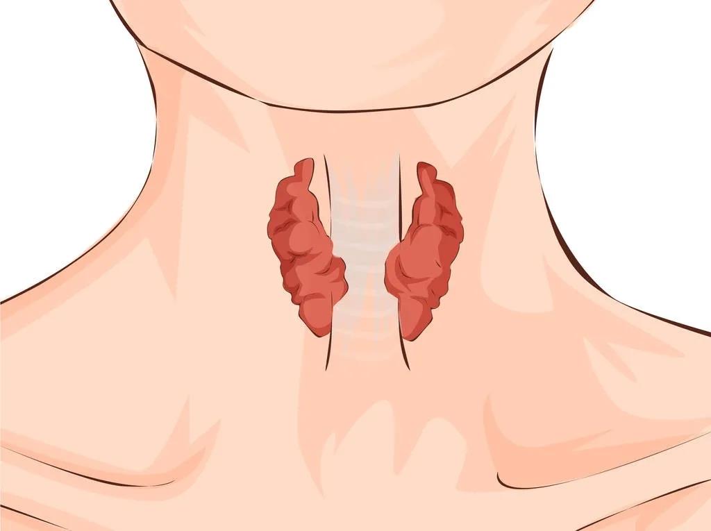 比周围人怕冷的你，该查查甲状腺了！