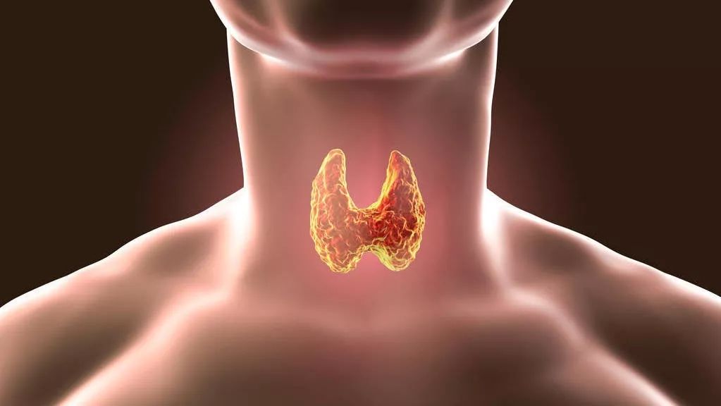 46万大数据研究！中国学者发现夜间光照患甲状腺癌风险增加55％